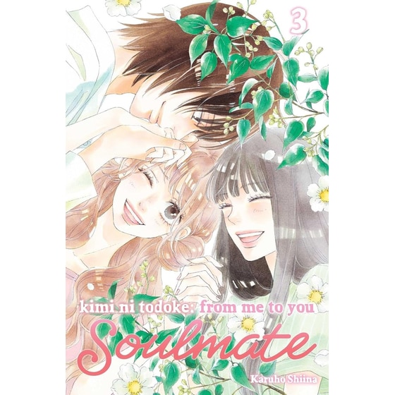 Kimi ni Todoke: From Me to You: Soulmate, Vol. 3 image 0