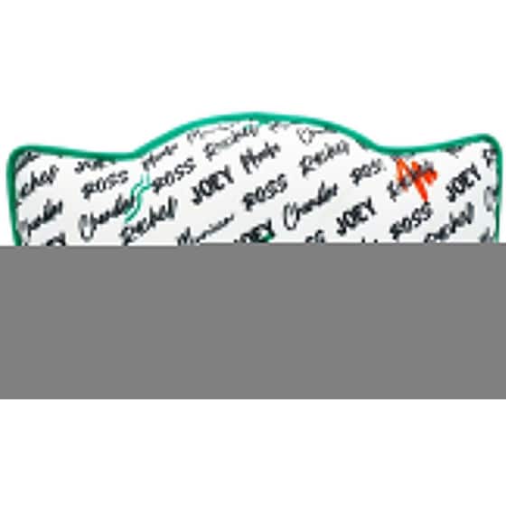 Μαξιλάρι Abysse Corp Friends - Central Perk - Πράσινο image 1