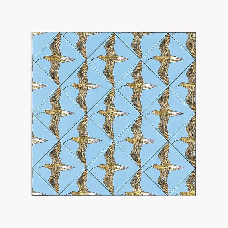 Simmerdim: Curlew Sounds