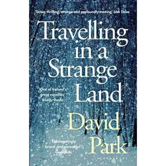 Travelling in a Strange Land image 0