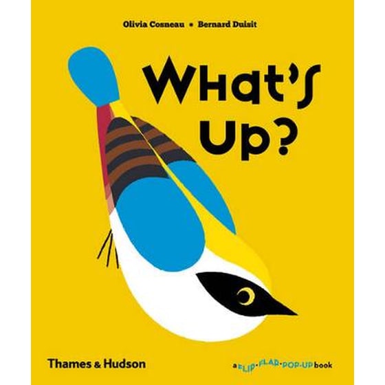 What's Up? image 0