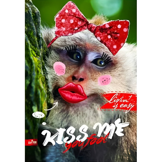 Τετράδιο MAR MAR Α4 Polypropilen 60 Φύλλων (1 Τεμάχιο) image 2