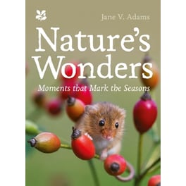 Nature’s Wonders