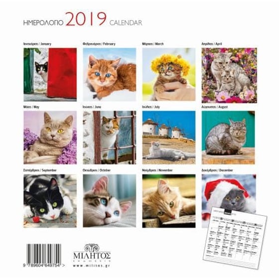Ημερολόγιο τοίχου 2019- Γάτες image 1