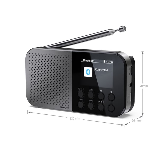 Φορητό Ράδιο Sharp DR-P520 - Γκρι image 2