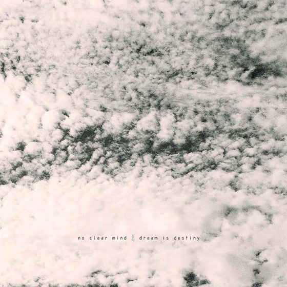 Dream Is Destiny (LP) image 0