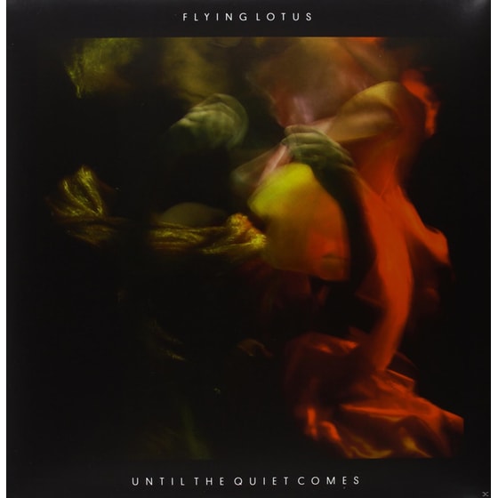 Until The Quiet Comes image 0