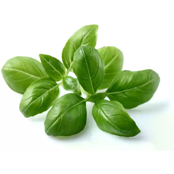 Κάψουλες Click and Grow 3 Τμχ - Βασιλικός image 1