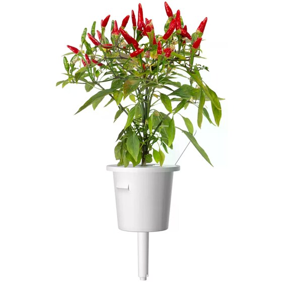 Κάψουλες Click and Grow 3 Τμχ - Piri Piri Chilli image 3