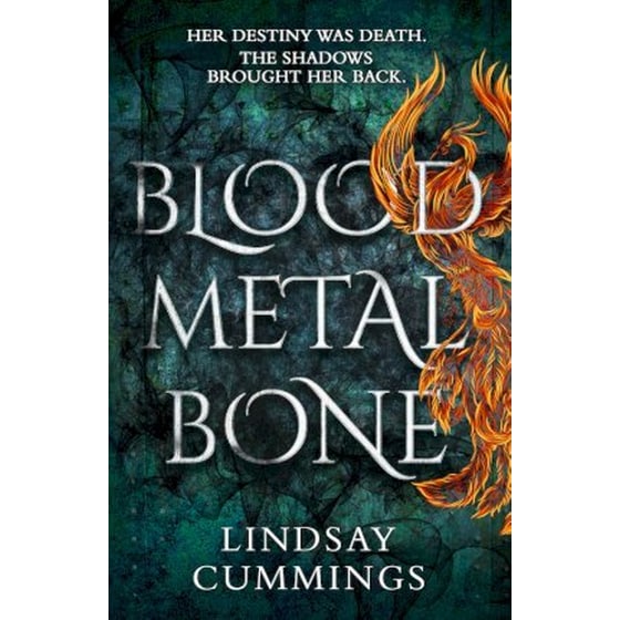 Blood Metal Bone image 0
