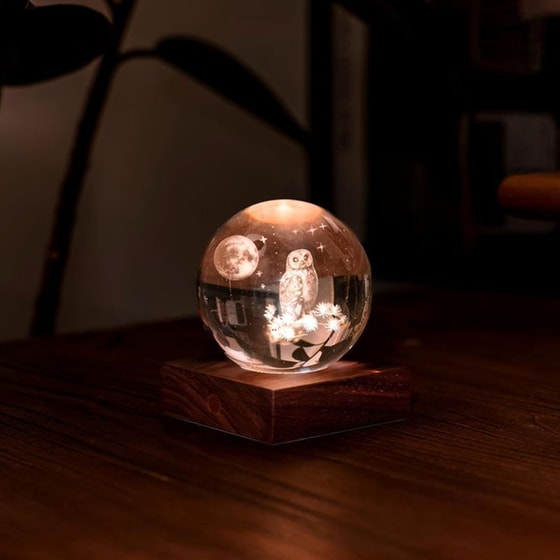 Διακοσμητικό&nbsp;Gingko Crystal&nbsp;Light&nbsp;3D&nbsp;The&nbsp;Owl&nbsp;Moon image 2