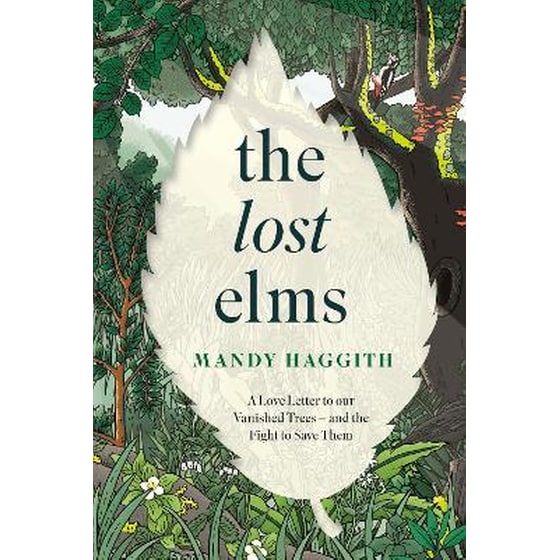 The Lost Elms: A Love Letter to Our Vanished Trees – and the Fight to Save Them image 0