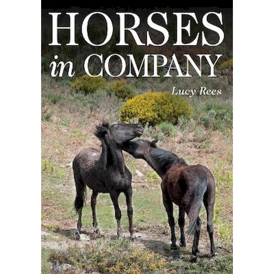 Horses in Company image 0