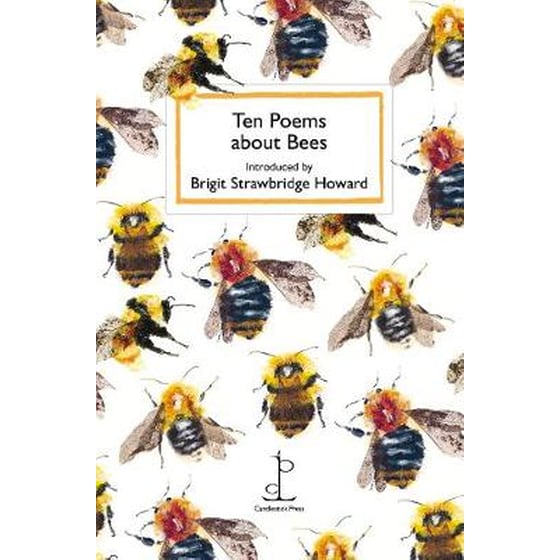 Ten Poems about Bees image 0