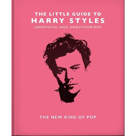 The Little Guide to Harry Styles image 0