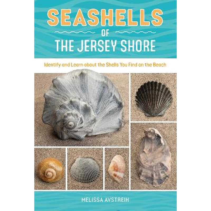Seashells of the Jersey Shore
