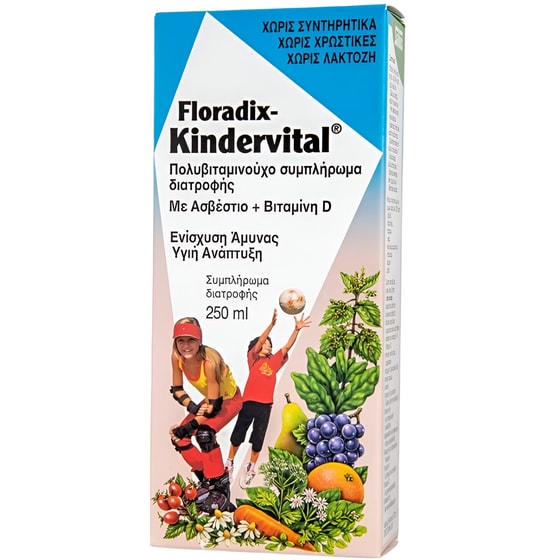 Power Health Multivitamin Salus Floradix Kindervital - 250ml image 0
