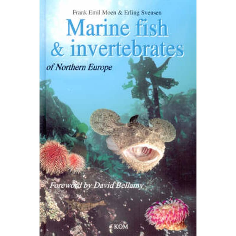 Marine Fish Invertebrates of Northern Europe