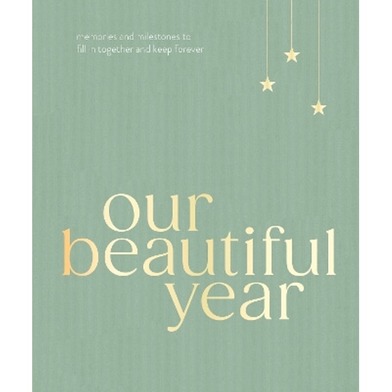 Our Beautiful Year image 0