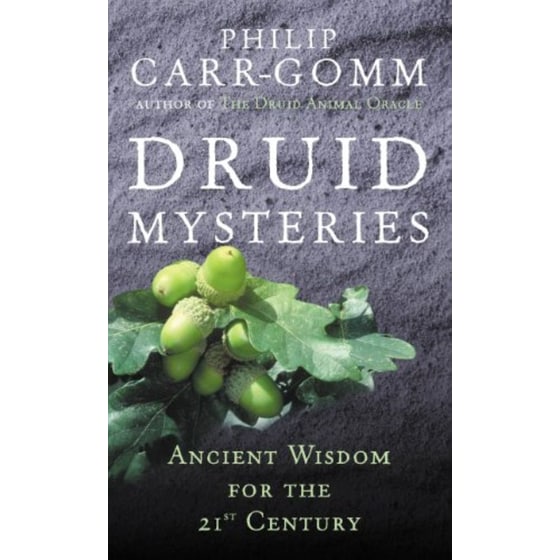 Druid Mysteries image 0