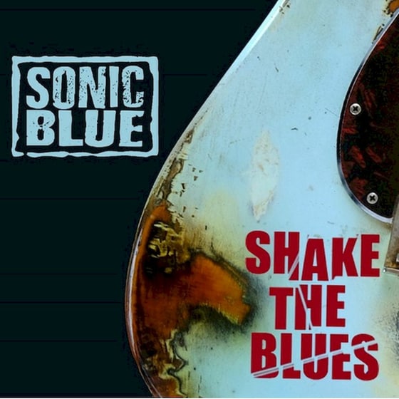 Shake The Blues image 0