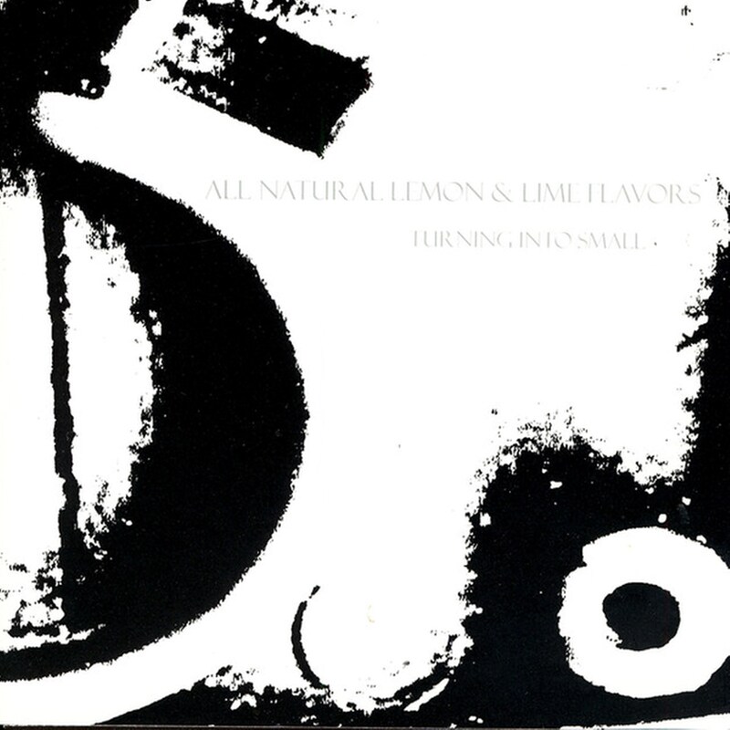 Turning Into Small (LP)