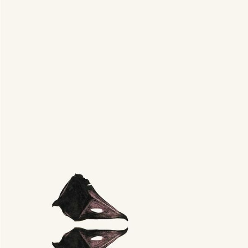 (Black/1lp) The New Backwards