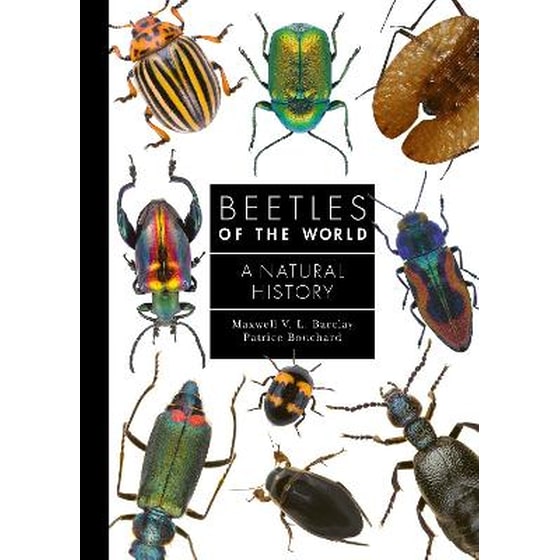 Beetles of the World image 0