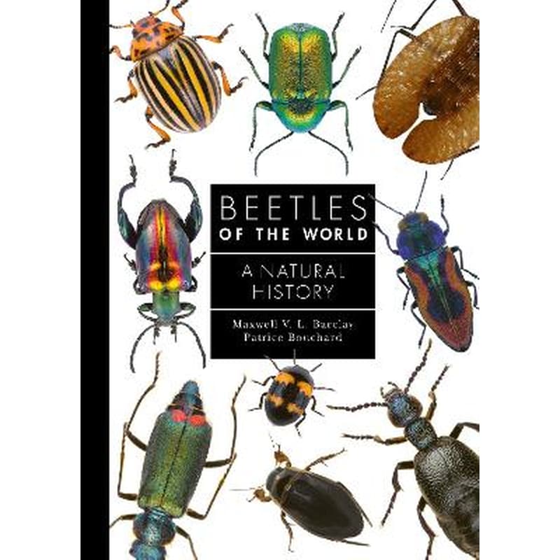 Beetles of the World