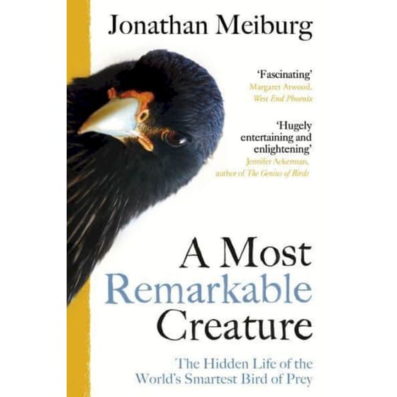 Most Remarkable Creature image 0