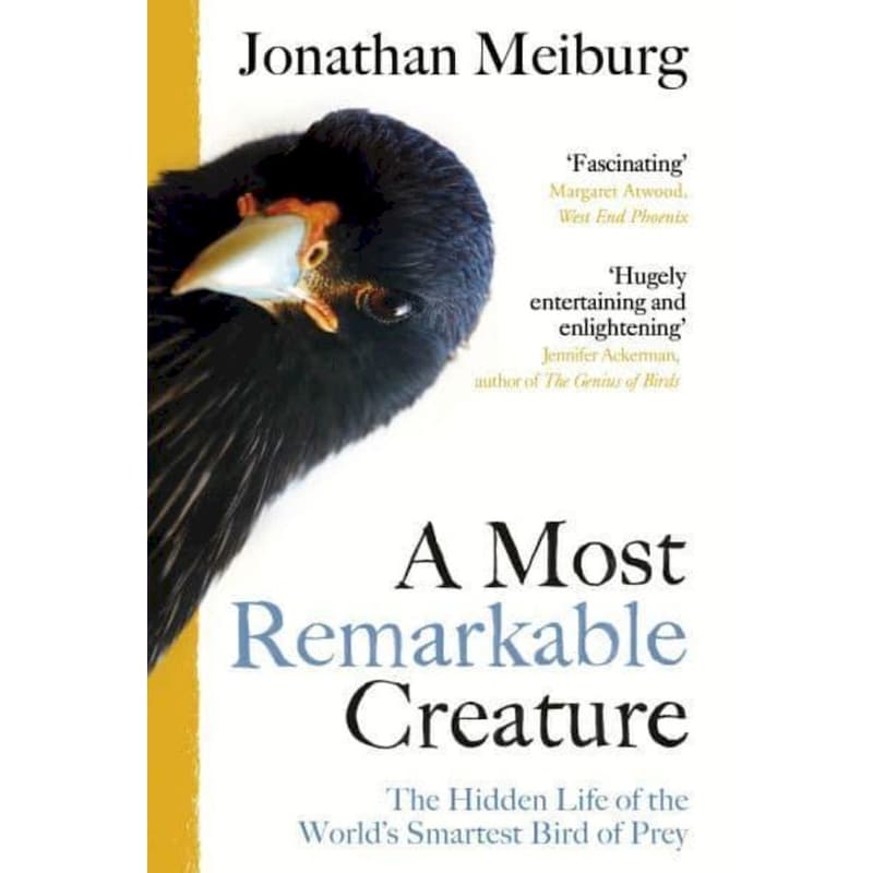 Most Remarkable Creature