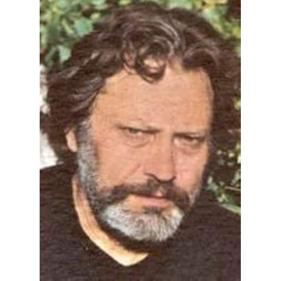 Διπλωμένα φτερά image 1