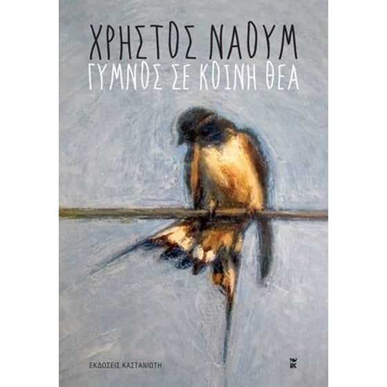 Γυμνός σε κοινή θέα image 0