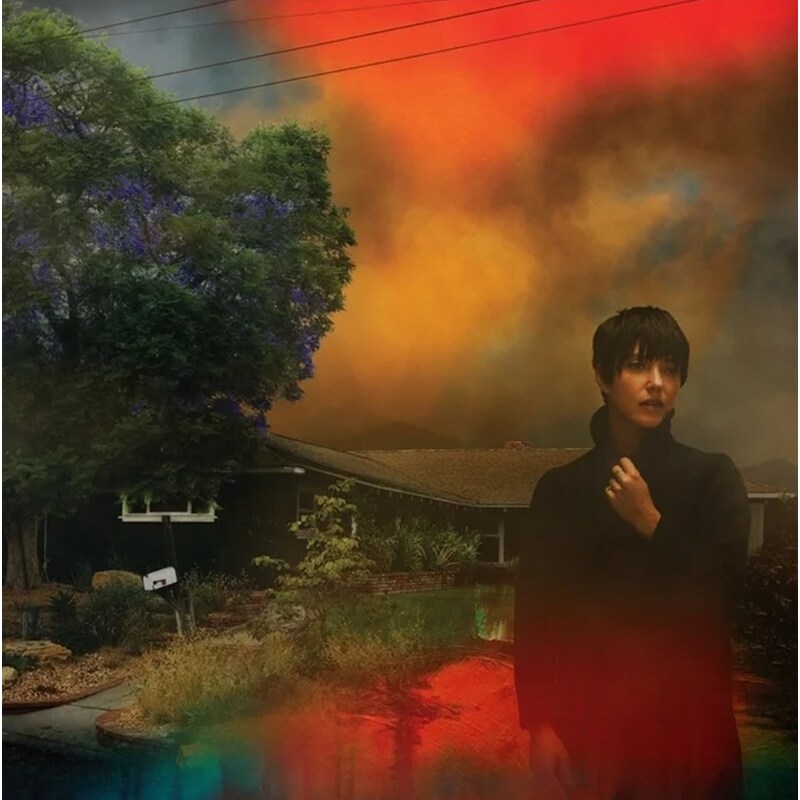 Weve Been Going About This All Wrong (LP)