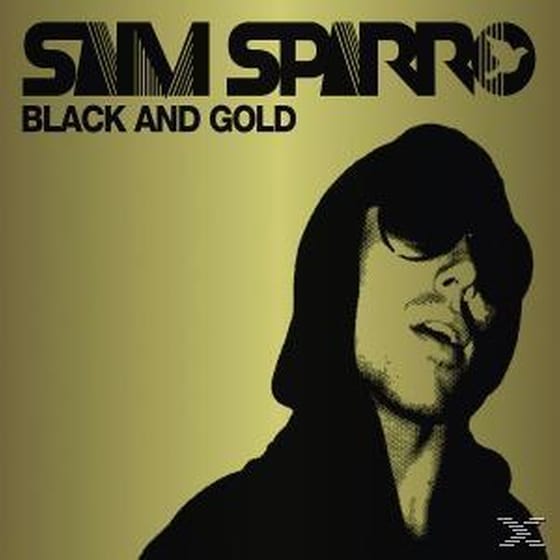 Black & Gold image 0