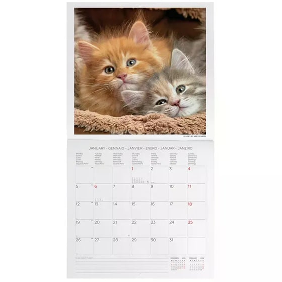 Ημερολόγιο Τοίχου Legami 2026 Kittens 30x29cm image 2