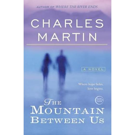 Mountain Between Us image 0