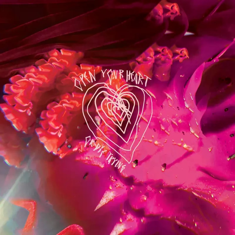 Open Your Heart Or Die Trying (LP) (RSD 2026)