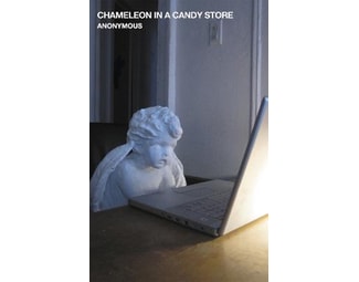 Chameleon in a Candy Store image 0