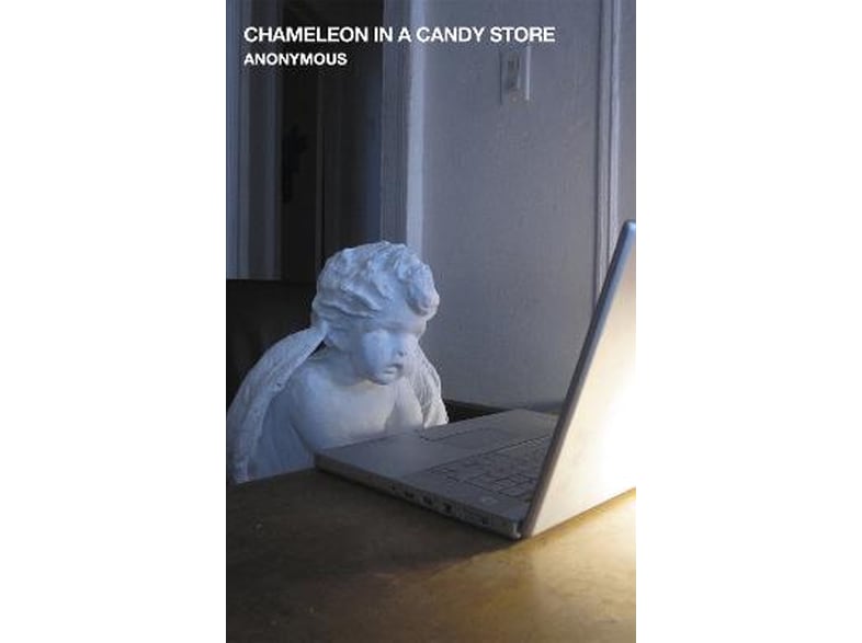 Chameleon in a Candy Store