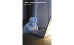 Chameleon in a Candy Store