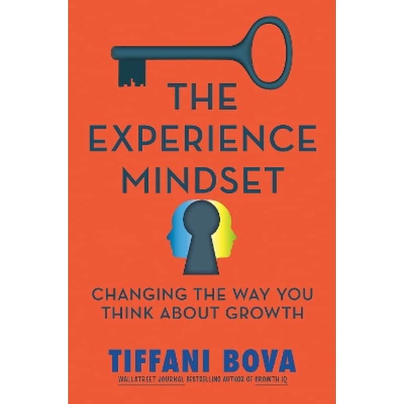 The Experience Mindset