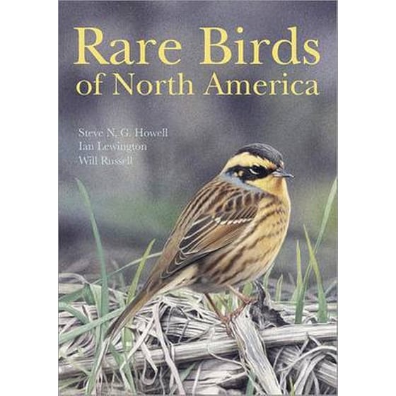 Rare Birds of North America image 0