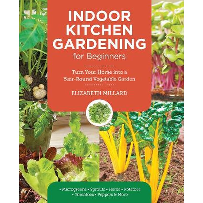 Indoor Kitchen Gardening for Beginners