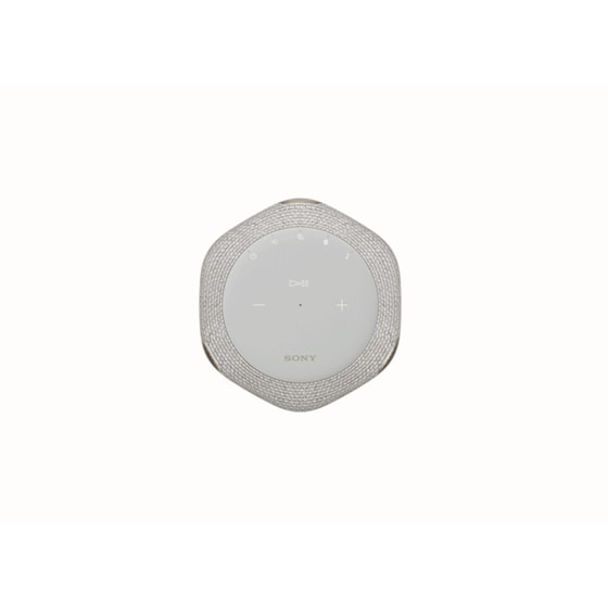 SONY SRS-RA3000 BT Light Grey image 2