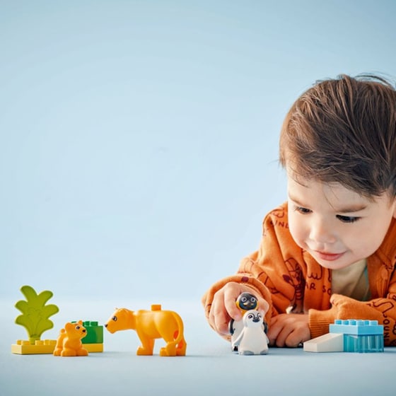 LEGO® Duplo Wild Animal Families: Penguins & Lions (10442) image 10