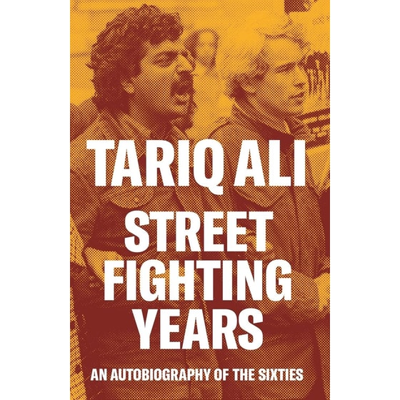 Street-Fighting Years image 0