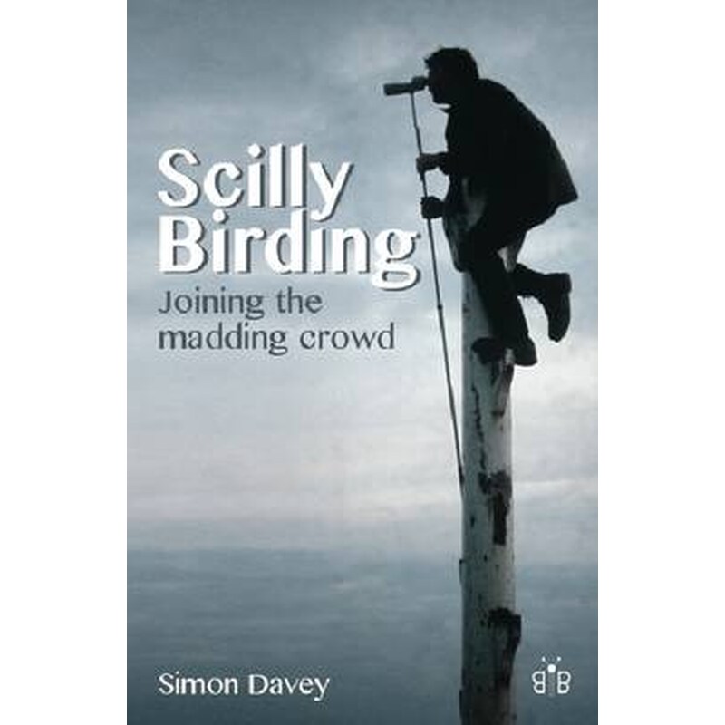 Scilly Birding