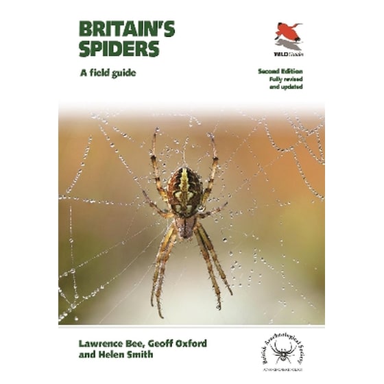 Britain's Spiders image 0