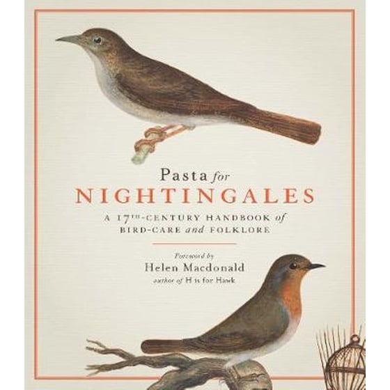 Pasta For Nightingales image 0